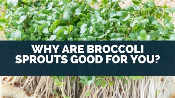 Are broccoli sprouts good for you?