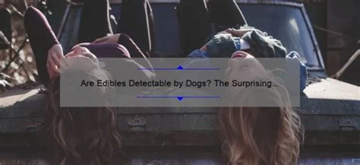 Are edibles detectable by dogs?