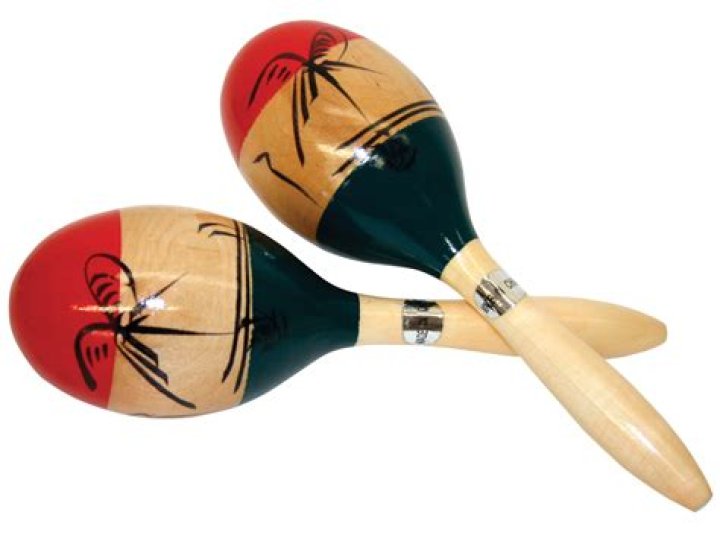 Are maracas percussion instruments?