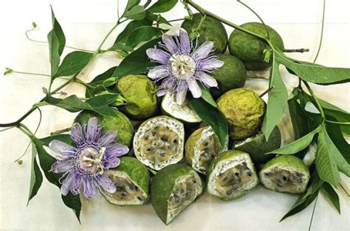 Are maypop flowers edible?