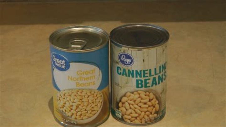 Are navy beans the same as northern beans?