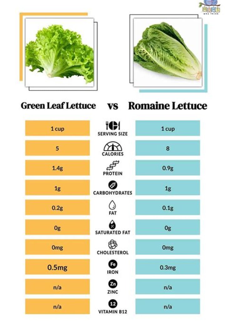 Are romaine and cos lettuce the same?