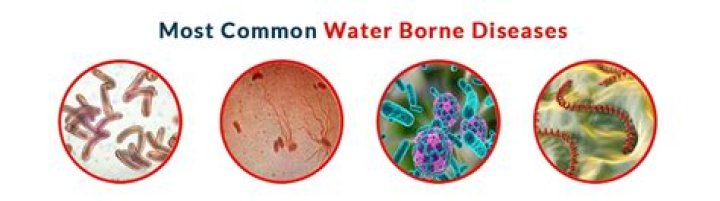 Are water borne diseases contagious?