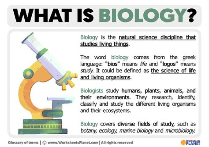 At what levels do biologists study life?