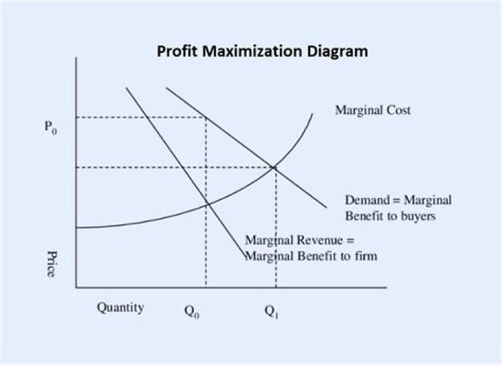 Can a price taking firm be profit maximising?
