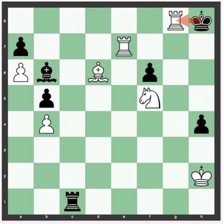 Can king take pieces?