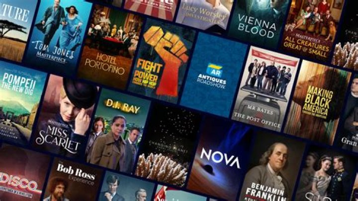 Can pbs passport be watched on tv?