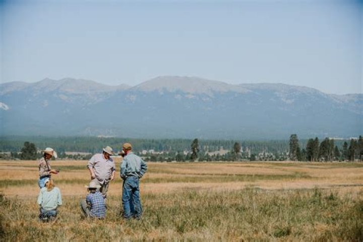 Can ranching be sustainable?