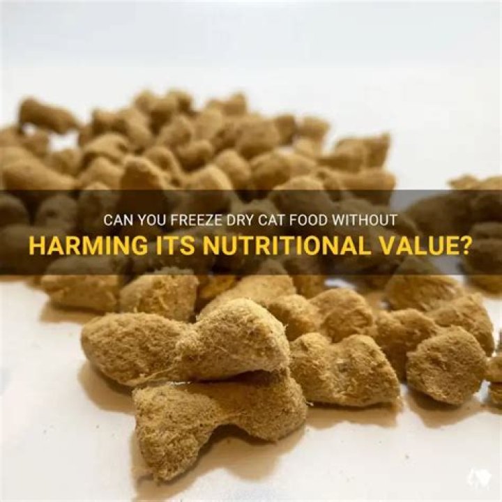 Can you freeze dry cat food?