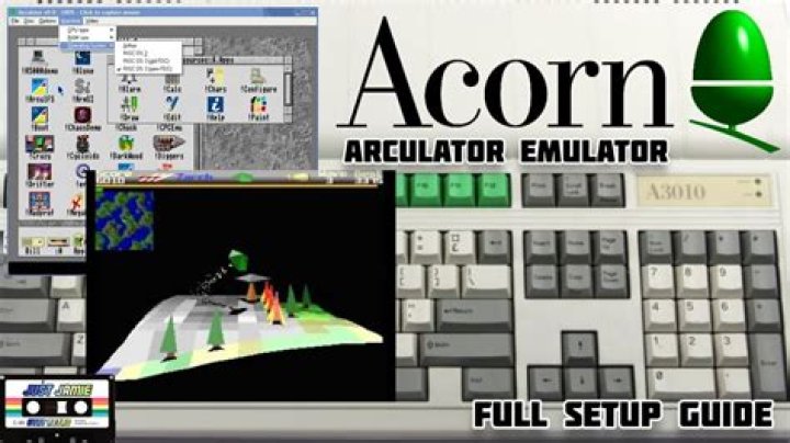 Can you play acorn on a computer?