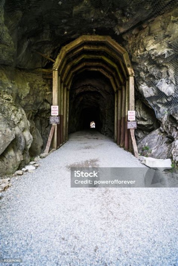 Can you take dogs to othello tunnels?