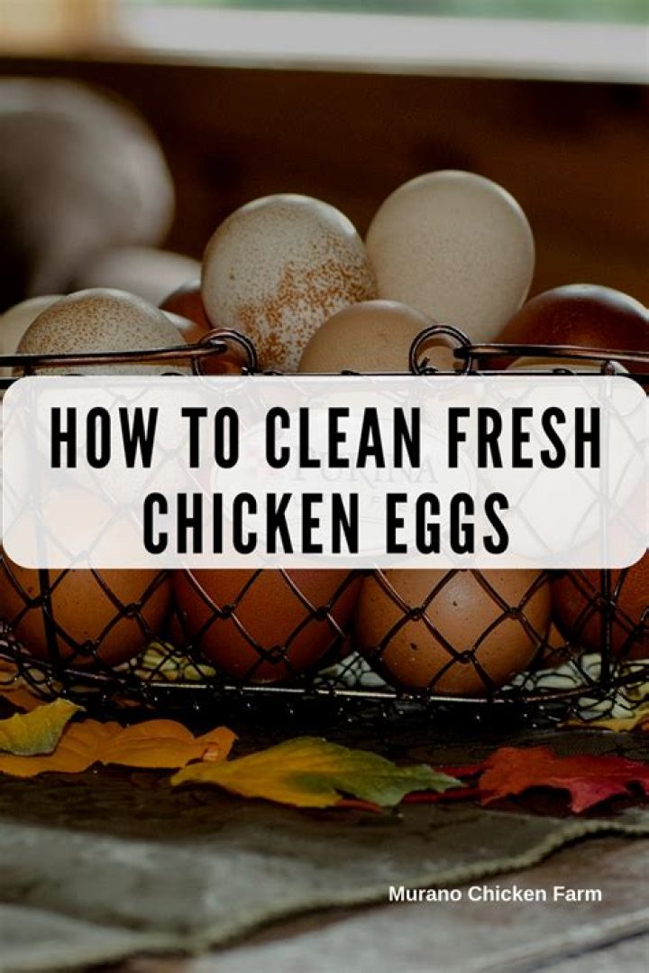Can you wash fresh laid eggs?