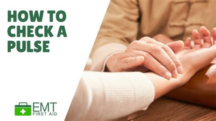 Could a vein be used to check a person's pulse?