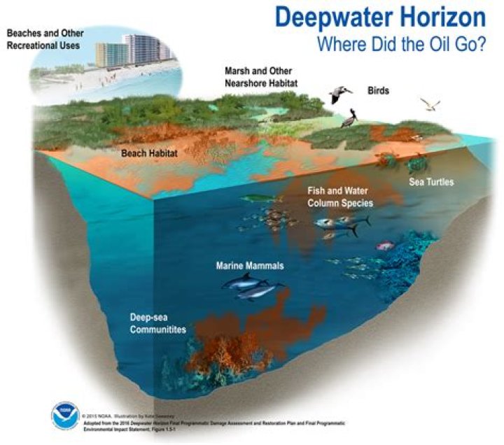 Could deepwater horizon been prevented?