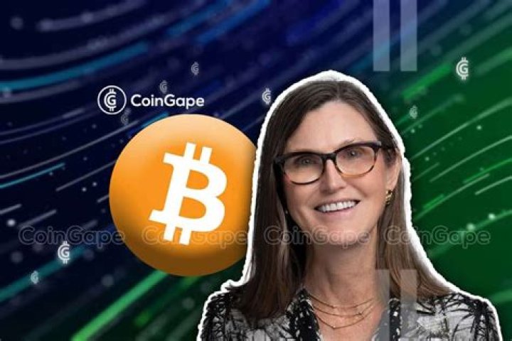 Did cathie wood buy bitcoin?