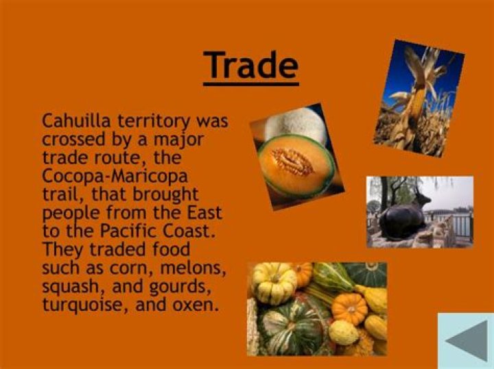 Did the cahuilla trade?