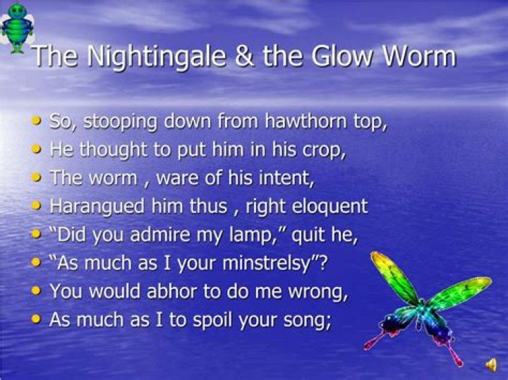 Did the nightingale eat the glow worm why?