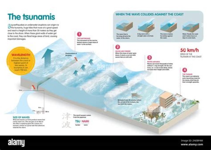 Do animals know when a tsunami is coming?