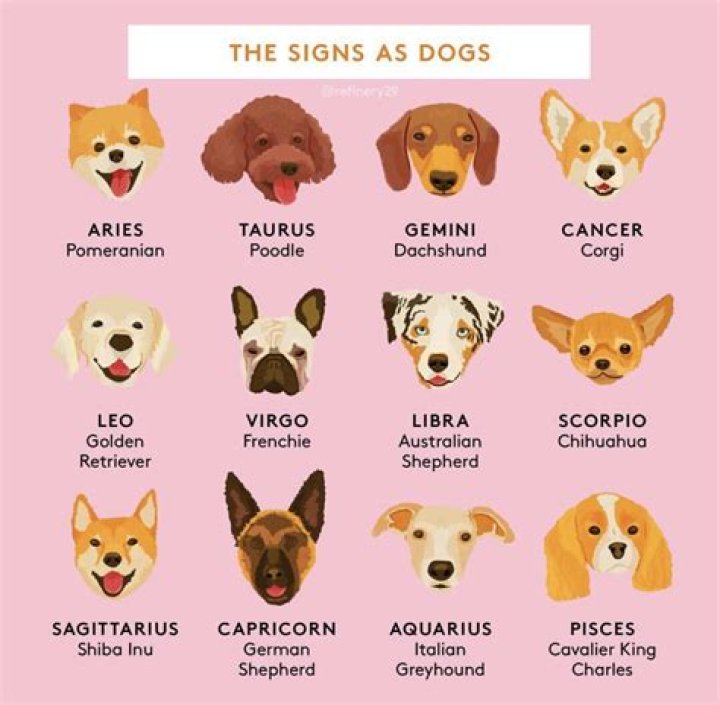 Do astrological signs apply to dogs?