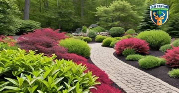 Do deer eat bearberry?