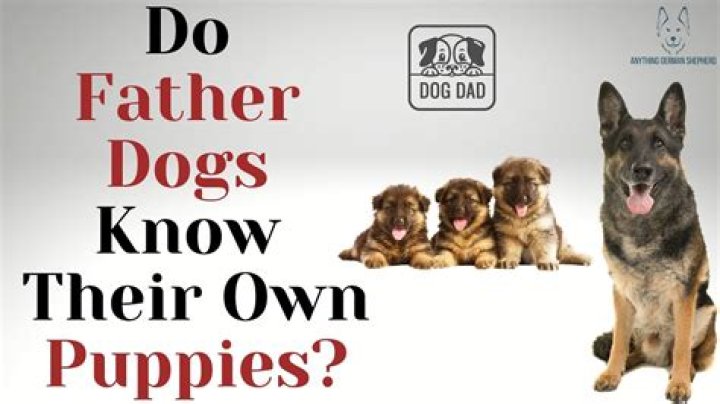 Do dogs know they're related?