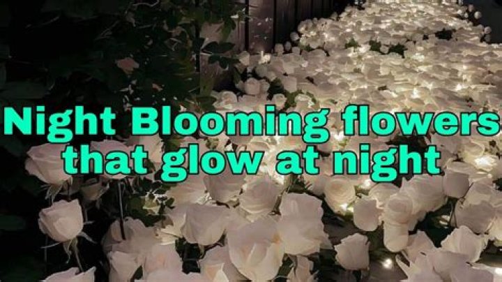 Do glowing flowers exist?