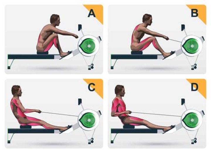 Do rowing machines work abs?