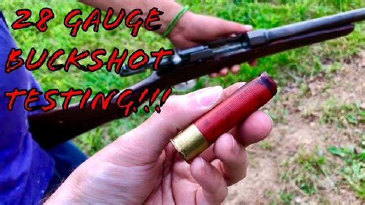 Do they make 28 gauge buckshot?