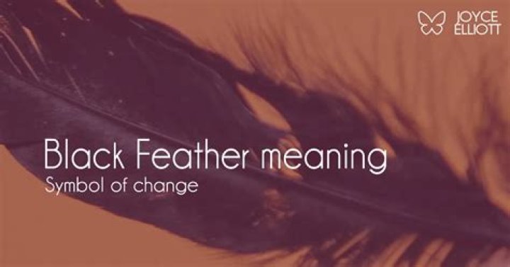 Does a black feather mean?