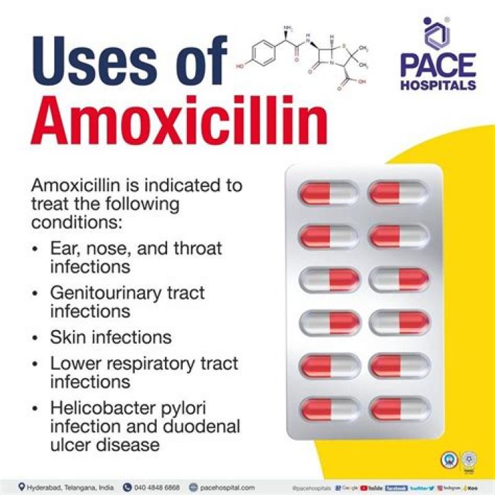 Does amoxicillin need to be taken with food?