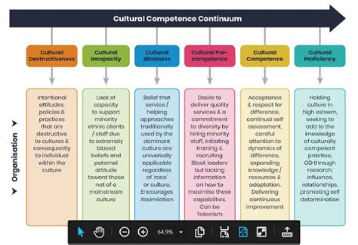 Does cultural competency training work?