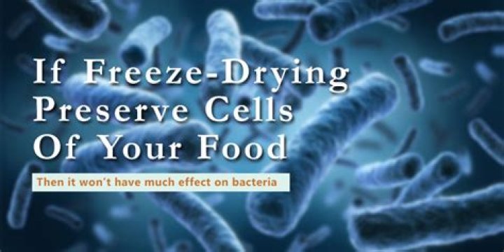 Does freeze drying kill salmonella?