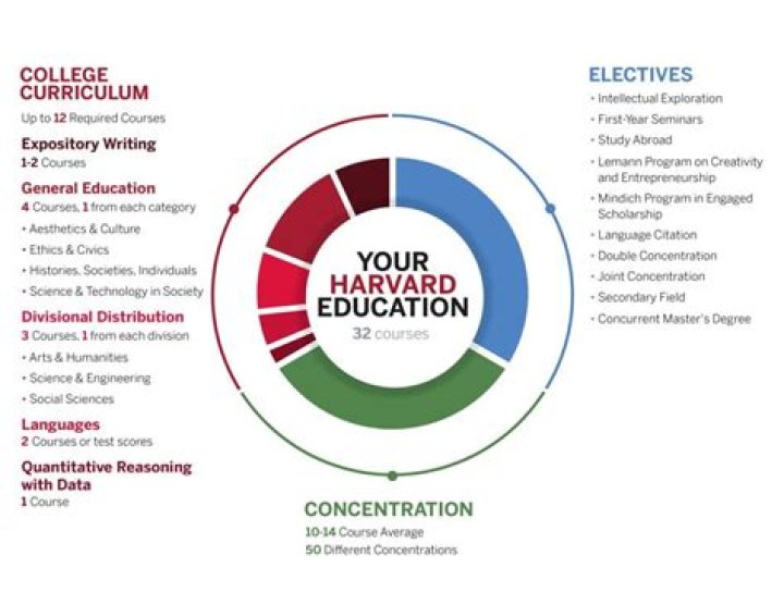 Does harvard have undergraduate programs?