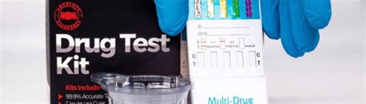 Does hillside drug test?