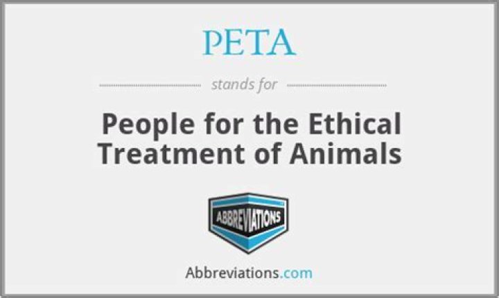 Does peta care about insects?