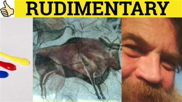 Does rudimentary mean primitive?