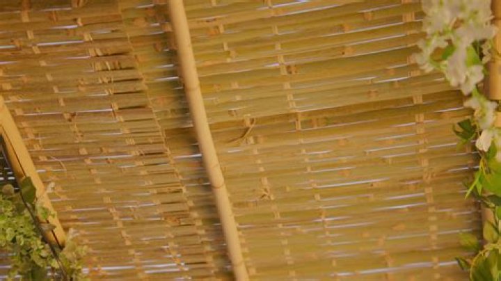 Does schach need to be kosher?