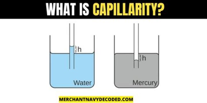 Does size affect capillarity?