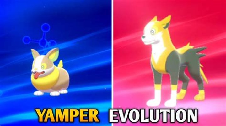 Does yamper evolve in pokemon sword?