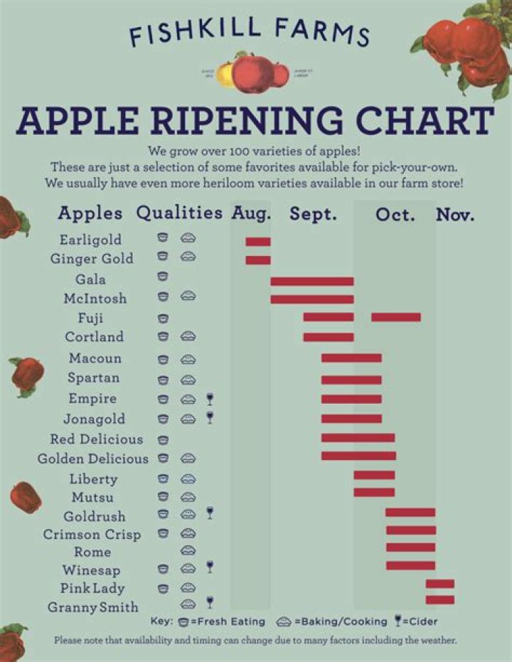 During which season apple fruits ripen?