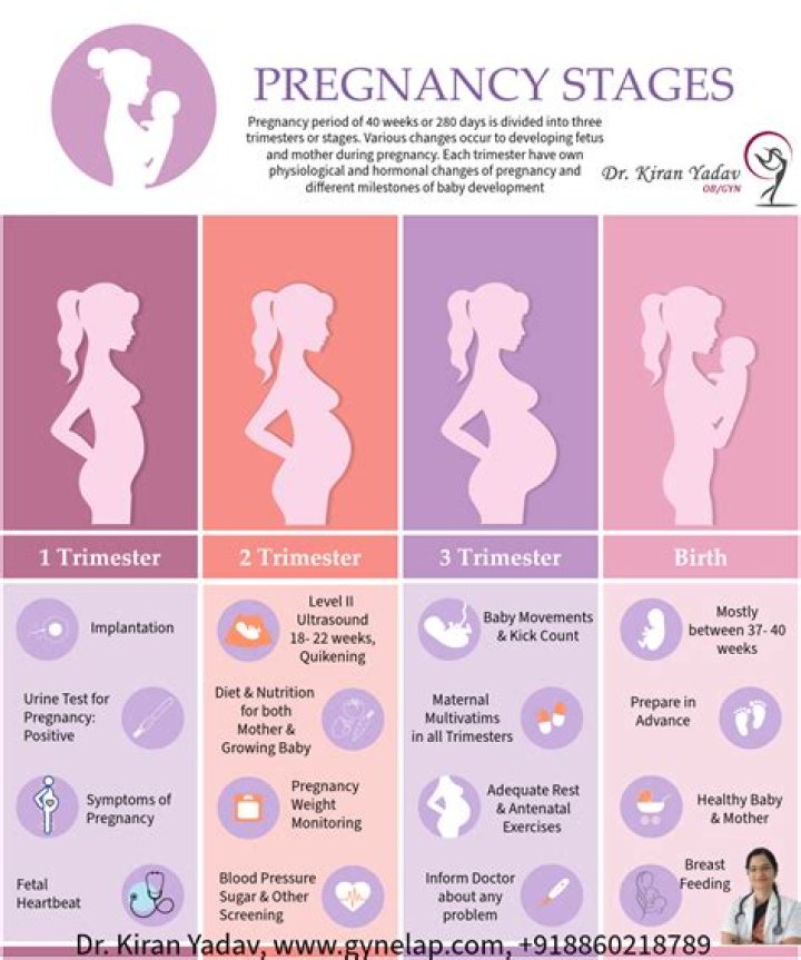 During which stage of pregnancy is it most dangerous to fly?