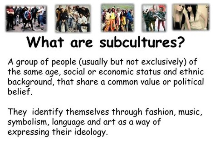 For example of subculture?