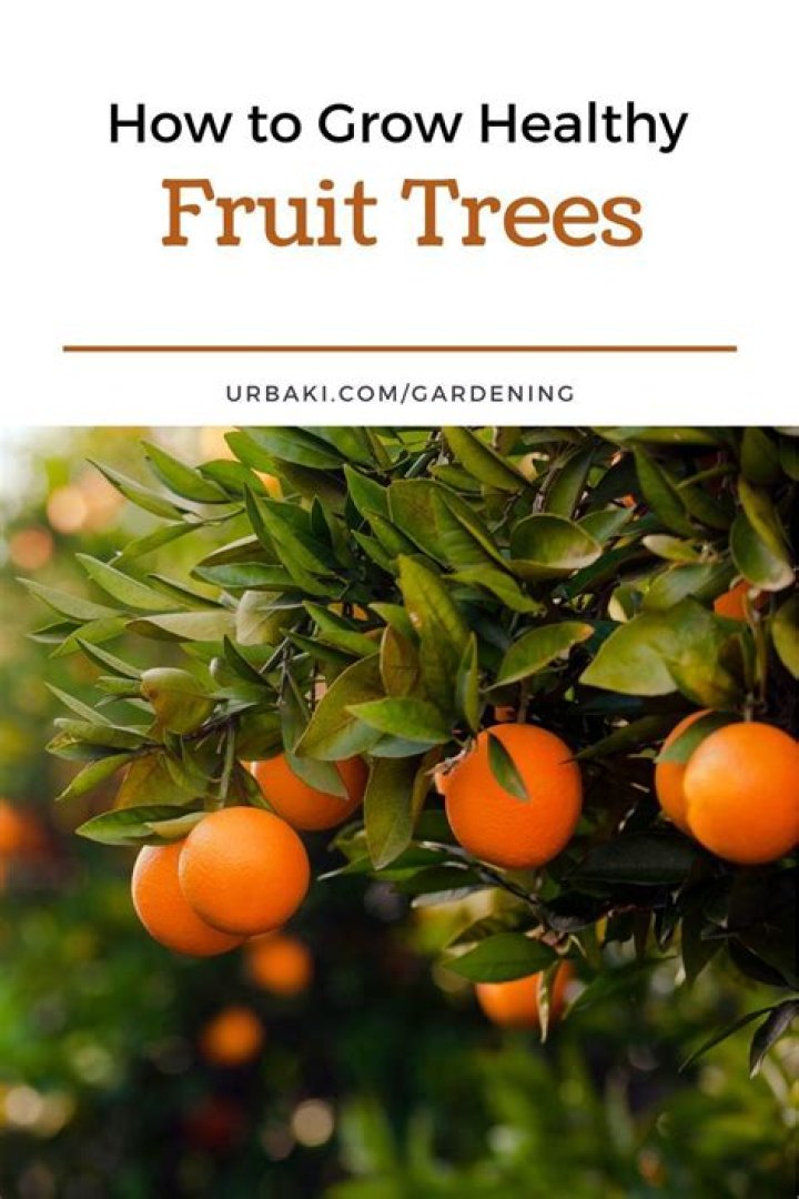 For growing fruit trees?