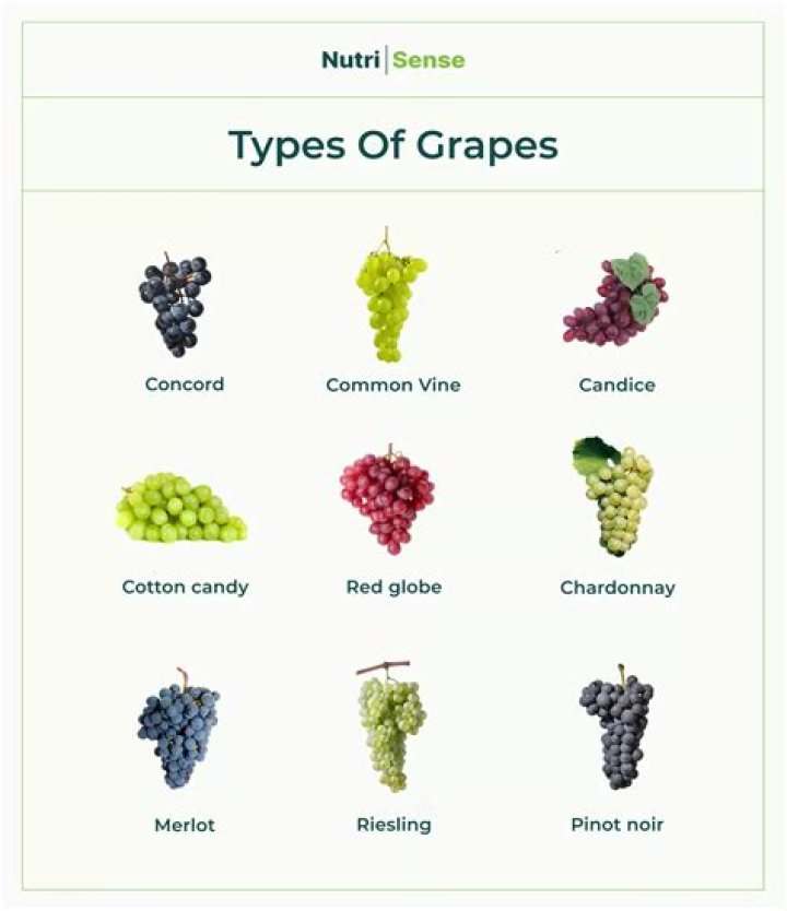 Has grapes got acid?