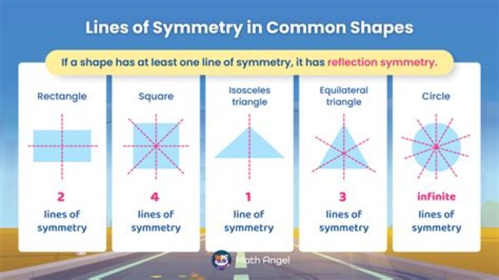 Has infinite lines of symmetry?