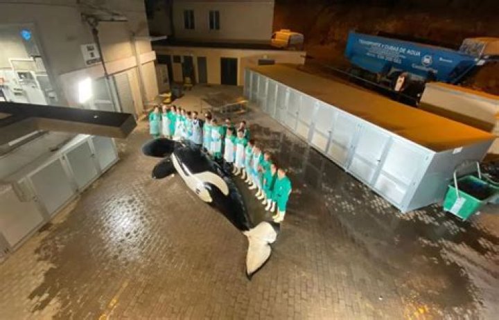 Has keto killed anyone?