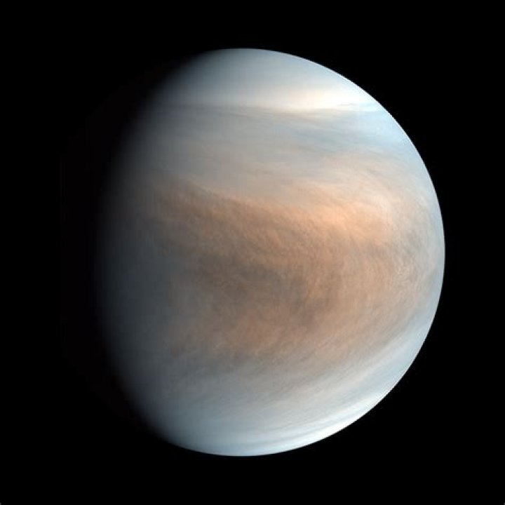 Has microbial life been found on venus?