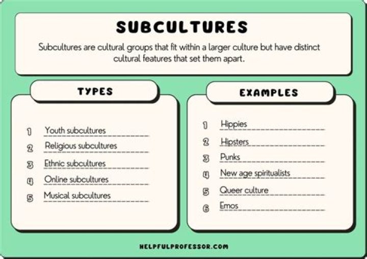 How and why subcultural theory happens?