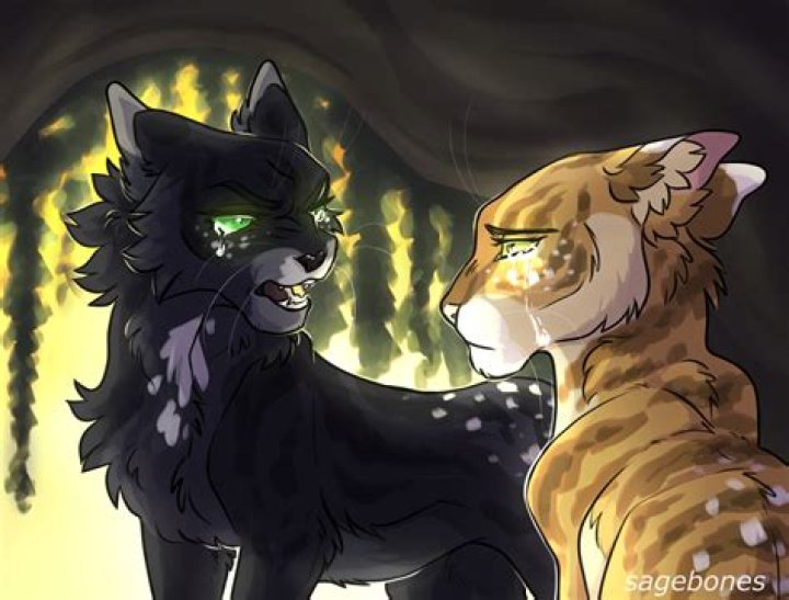 How did hollyleaf kill ashfur?