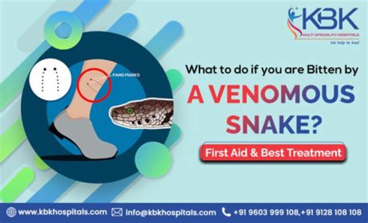 How is snake envenomation treated?